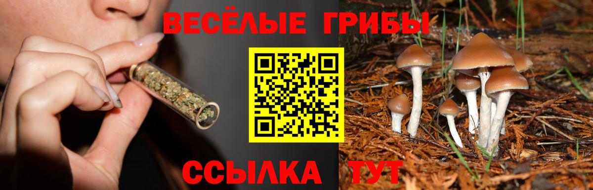 Ялта  где купить наркоту  Вход с VPN  Галлюциногенные грибы GOLDEN TEACHER 