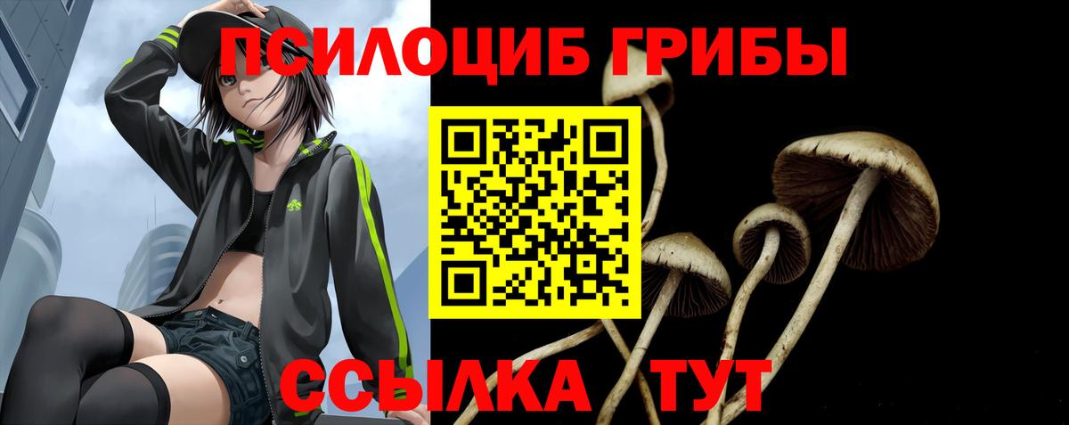Галлюциногенные грибы GOLDEN TEACHER Ялта